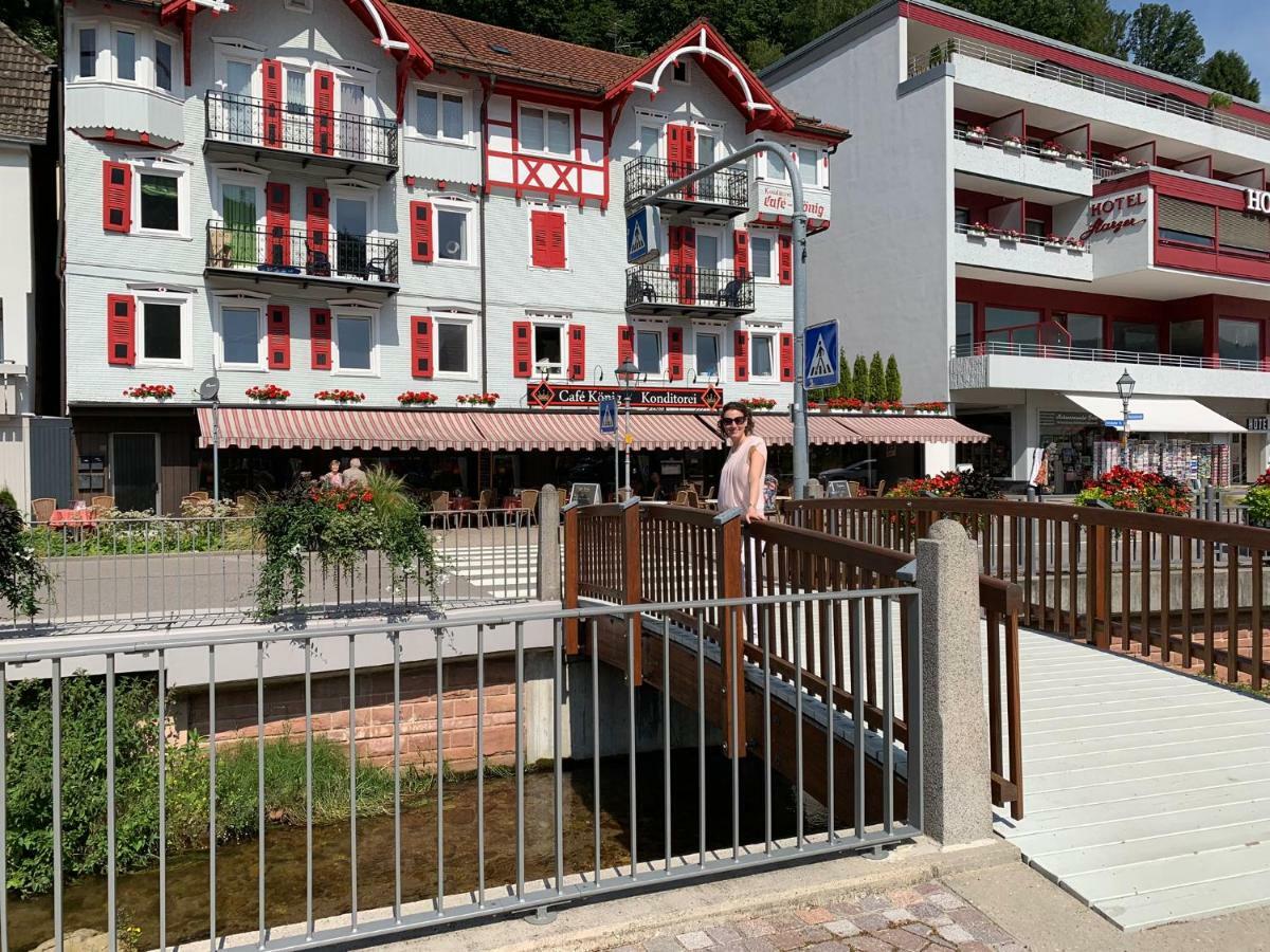 Black Forest Apartment Bad Herrenalb Ngoại thất bức ảnh